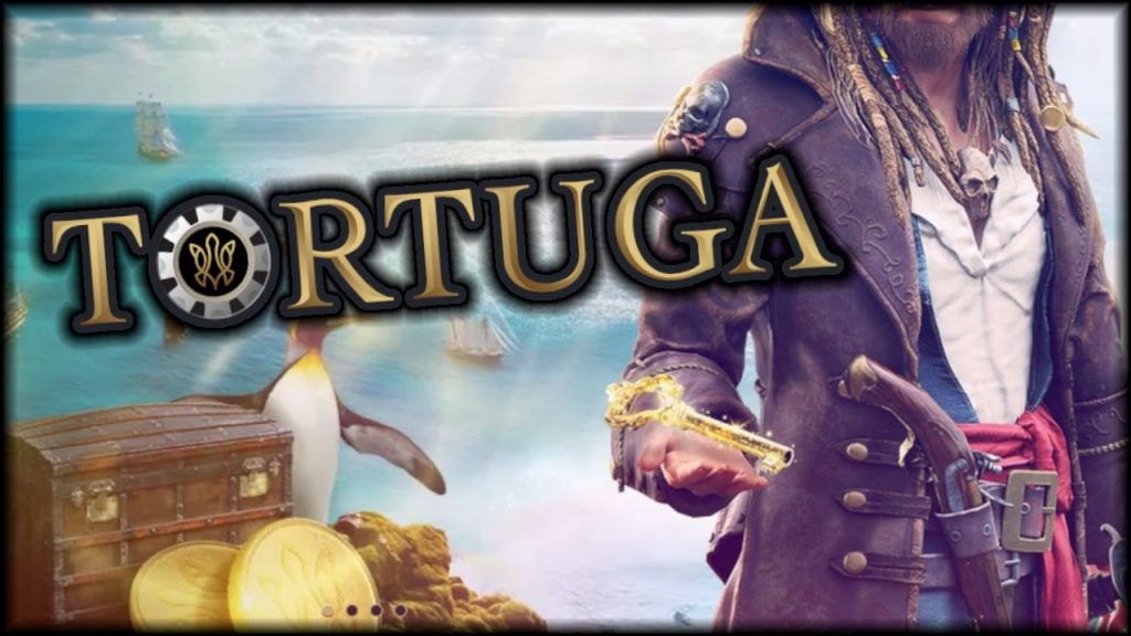 tortuga-banner