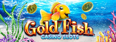 Gold fish casino